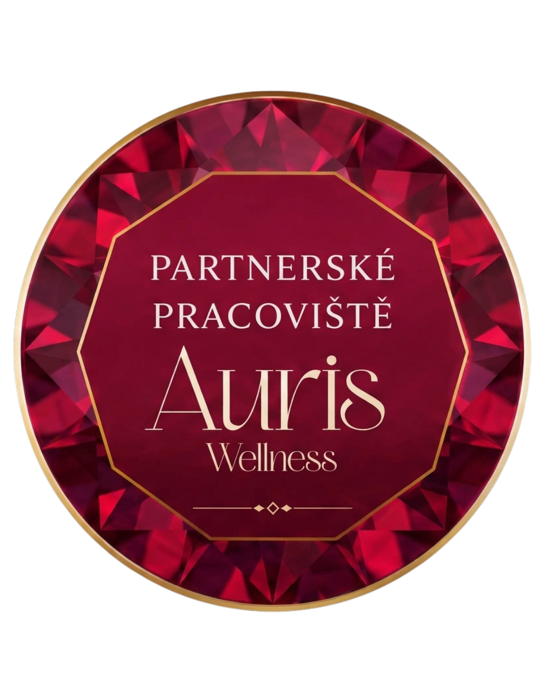 Partnerské pracoviště Auris Wellness